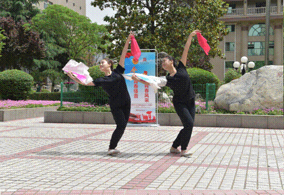 DSC_8017,DSC_8041